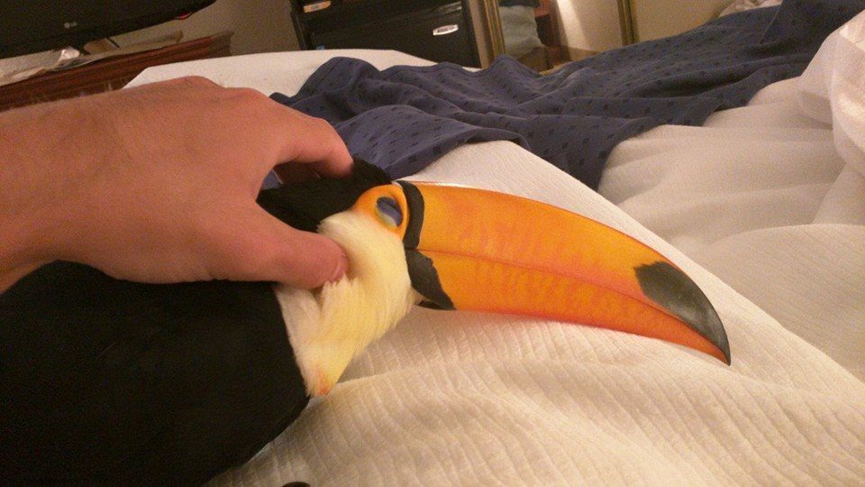 1-toucan-in-bed