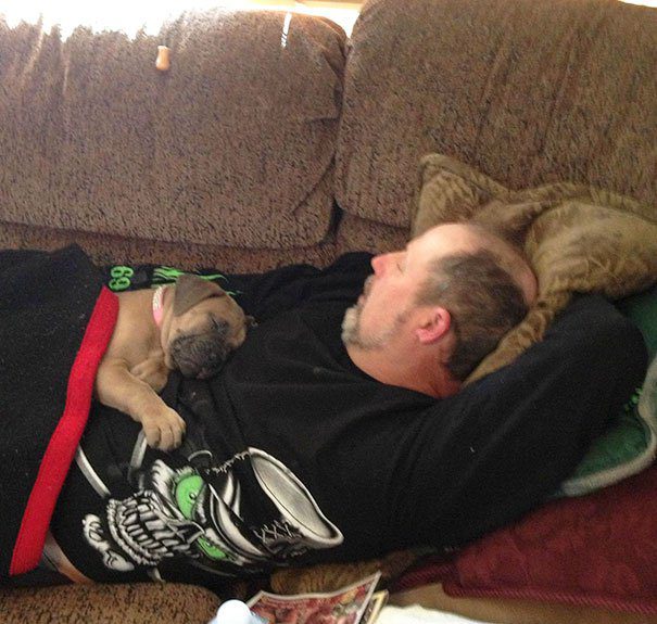 dads who didn't want dogs