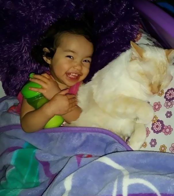 cats and babies