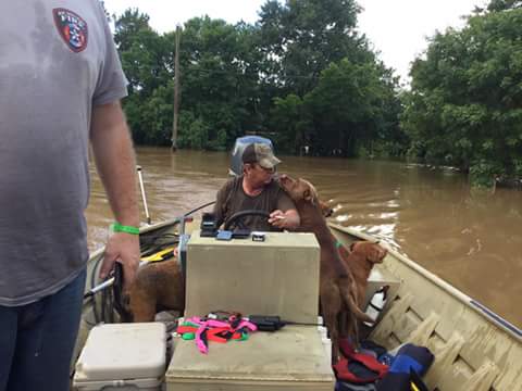 father-and-son-dogs-flood