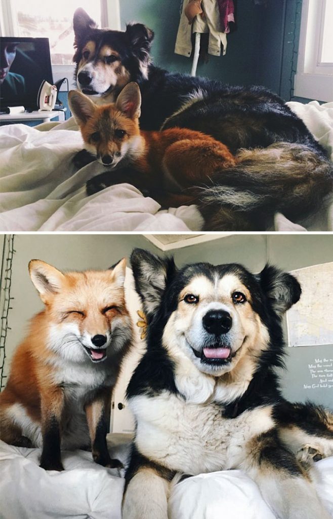 growing up together 