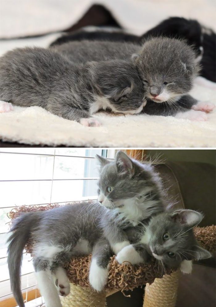 growing up together 