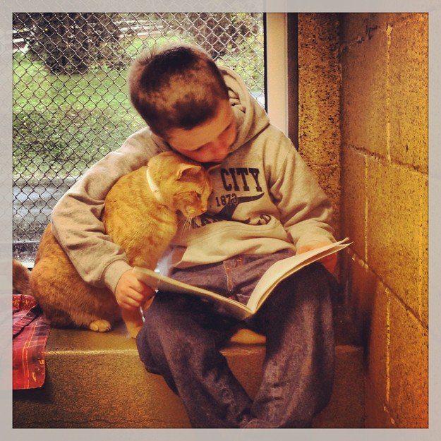 kids reading to cats