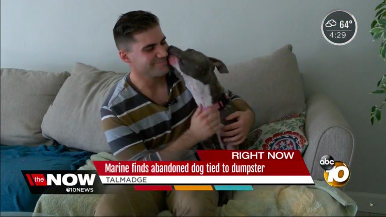 marine saves dog