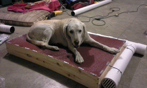 dog air conditioner