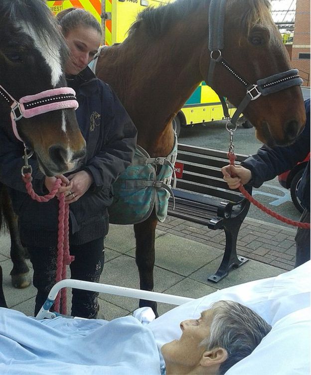 dying woman goodbye horse