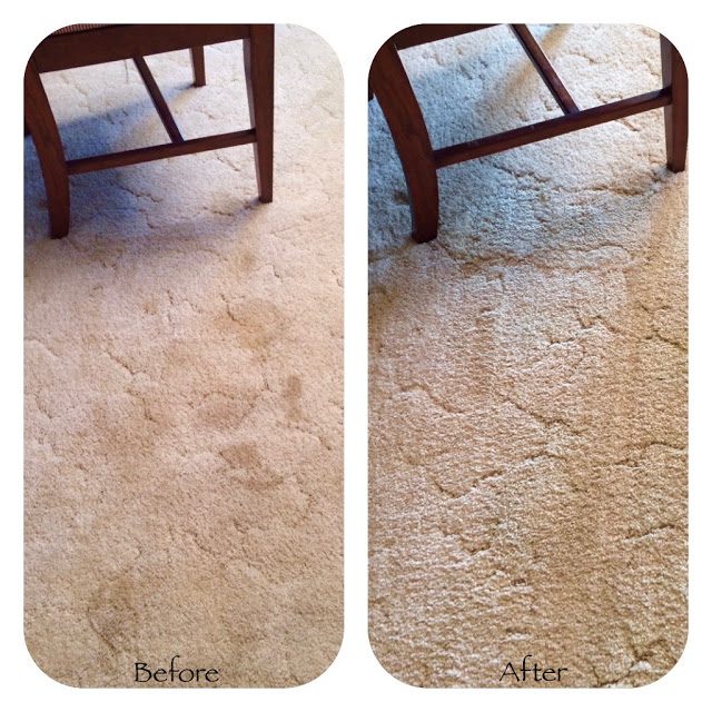 remove pet stains from carpet