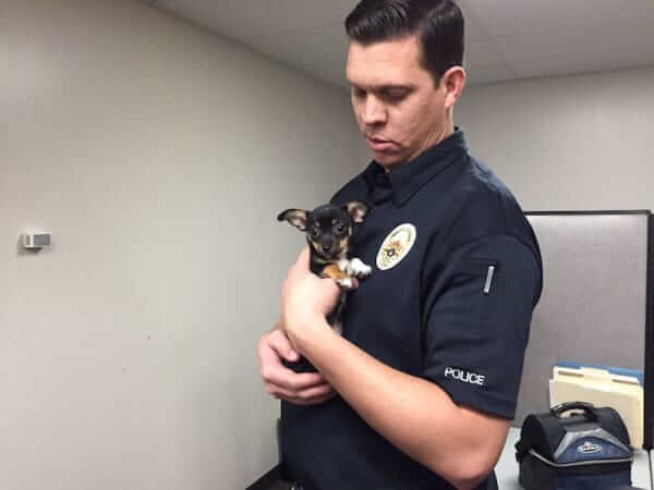 police dog rescue