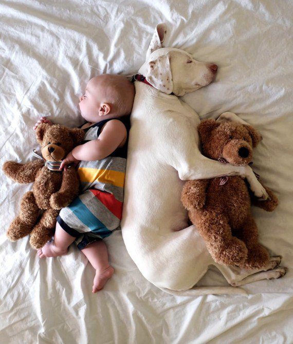 baby and dog friendship