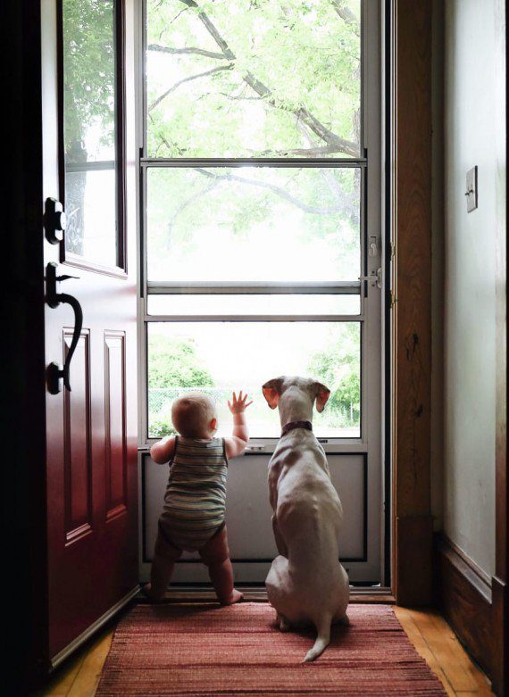 baby and dog friendship