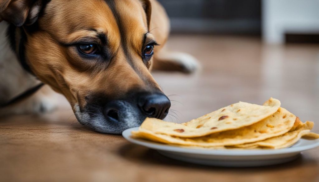 can dogs eat tortilla