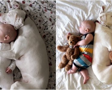 Mom Captures Special Bond Between Her Baby And His Rescue Dog Best Friend