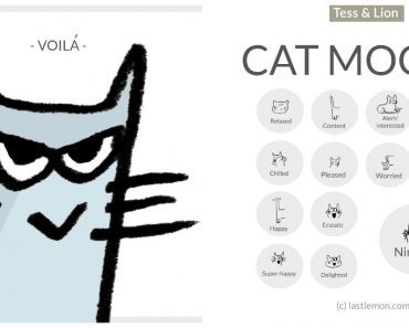 Hilarious Attempt To Document Moods Of Cats