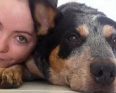 After Finding Out Her Dog Only Has Weeks To Live, Owner Creates Unforgettable Bucket List