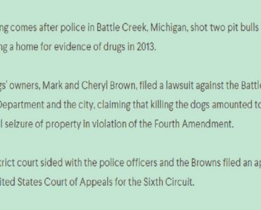 Police Officers Shoot Dog While Executing A Search Warrant For Illegal Drug Activity
