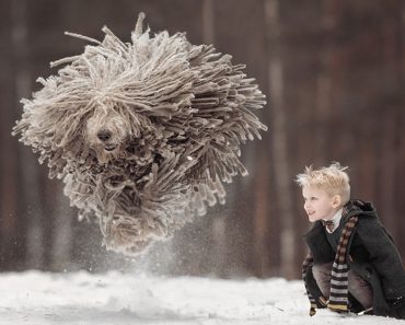 Photographer Captures Little Boy Playing With His Massive Furry Dog In The Snow