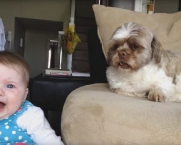 Dog Lovingly Calms Baby Every Time She Cries