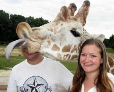 Photos Of Animals Who Have Taken Photobombing To An Expert Level