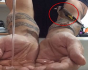 This Guy Fills His Hands With Water, But Pay Attention To The Bird On His Arm…