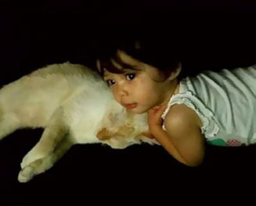 Little Girl And Kitty Have Been Inseparable Since The Moment They Met