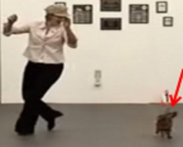 She Takes Her Dog On The Dance Floor, Now Pay Attention To Her Dog When The Music Starts…