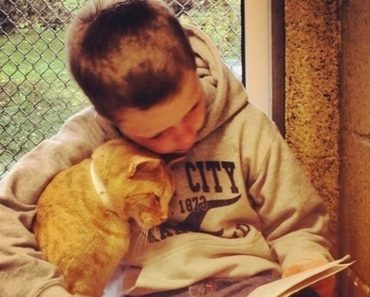 Shelter Implements ‘Book Buddies’ Program Where Children Can Come Read To Adoptable Cats