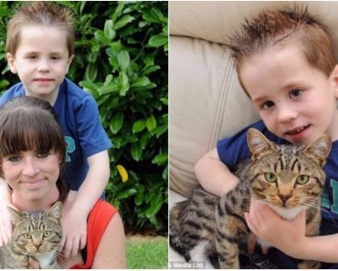 When Bullies Push 5-Year-Old To The Ground, His Cat Has Surprising Response…