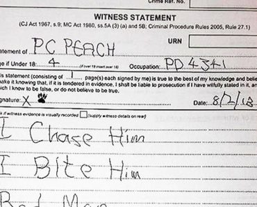 Prosecutors Demanded A Statement From K9 Police Dog.  What They Got As A Response Is Hilarious!