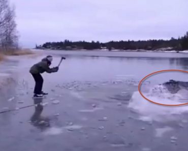 He Was Ice Skating When He Spotted Enormous Creature Drowning. Now He’s A Hero