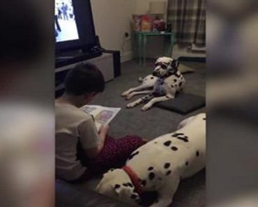 Dog Helps Autistic Boy Read