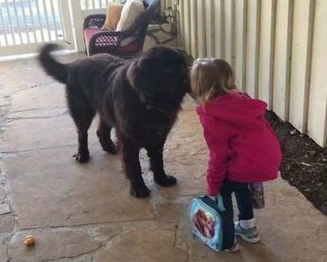 Little Girl Kisses Dog Goodbye Before School