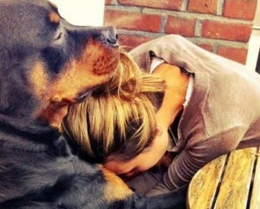 21 Photos That Show Why You Should Be Thankful For Your Dog