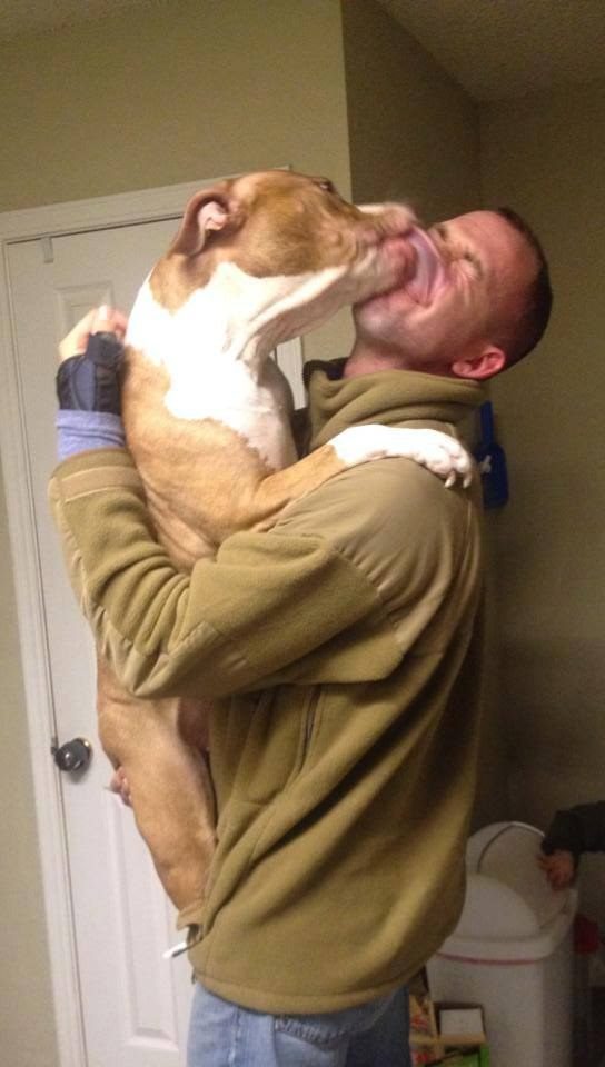 21 Photos That Show Why You Should Be Thankful For Your Dog - We Love ...