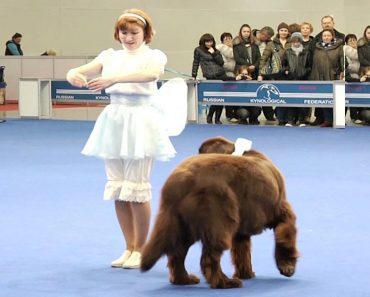 When She Took The Stage With Her Newfie, The Crowd Didn’t See This Coming…