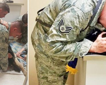 Soldier Ensures Dying Military Dog Passes With Dignity, Wrapped In American Flag