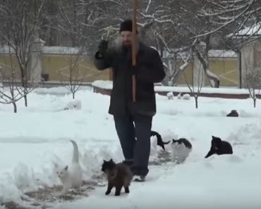 Man Who Lives In Russian Monastery Has Touching Daily Ritual Of Taking Cats For Walk