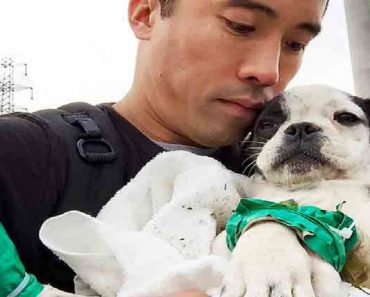 Man Makes Frequent Trips To Asia To Rescue Hundreds Of Dogs From Underground Meat Trade