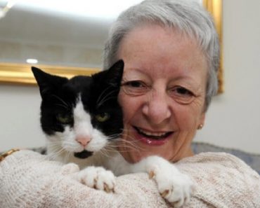 Miracle Cat Saved Her 64-Year-Old Owner’s Life