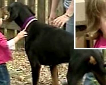 Man’s Best Friend Proves He Is Best Protector, Saves Little Girl from Death in Her Own Backyard