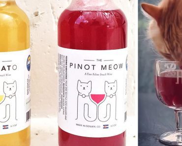 New Catnip Wine Allows You To Make Your Cat Your Drinking Buddy Of Choice