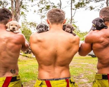 Firemen Help Puppies Find Homes By Taking Off Their Clothes