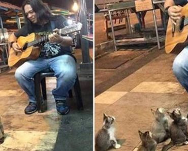 Street Musician Was About To Call It Quits But When These Showed Up, Everything Changed…