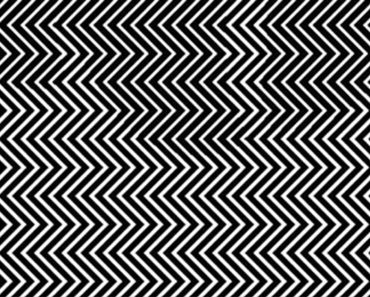 How Quick Can You Find The Panda In This Optical Illusion?