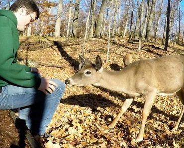 Young Man Shares Unforgettable Moment With Wild Deer