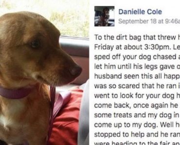 Woman And Husband Witness A Dog Being Tossed From Someone’s Truck, Then She Posts This On Facebook…