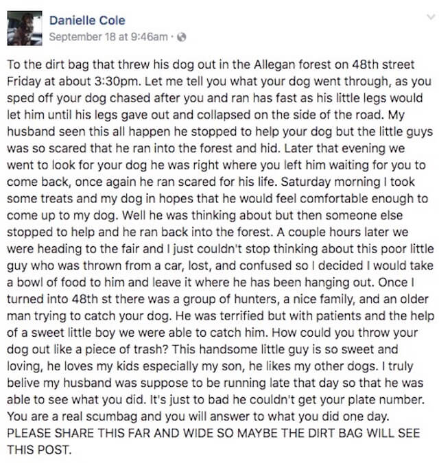 abandoned dog facebook