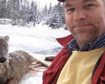 Deaf Man Risks Life Saving Deer From Icy River