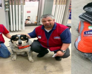 Man Couldn’t Get A Job Because Of His Dog, Until This Store Manager Hired Them Both
