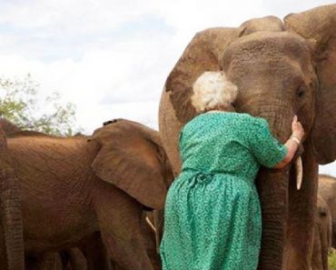 One Woman Has Elephants Lined Up To Hug Her And Once You Realize Why, You Will Want To Hug Her Too…
