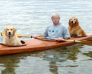 Man Builds A Special Kayak To Bring His Dogs On Adventures